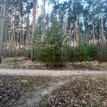 Незалежності вул.