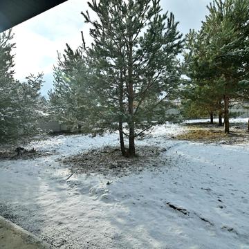 Пересопницька