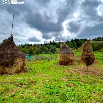 Пилипець, Хустський, Закарпатська область 18000.0 USD