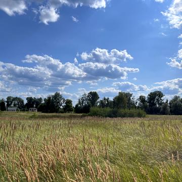 Українка, Обухівський, Київська область 180000.0 USD