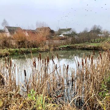 Соколова гора, Богунський, Житомир, Житомирська область 70000.0 USD