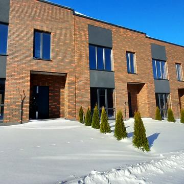 Абрикосова