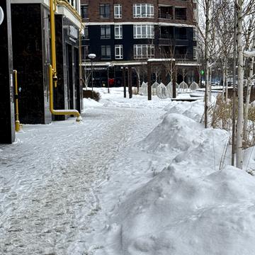 Ольги Кобилянської вул. (Достоєвського), 1-В/7