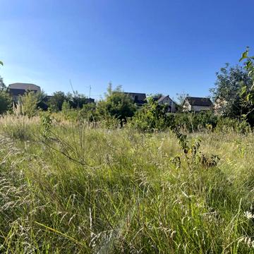 Бориса Тена