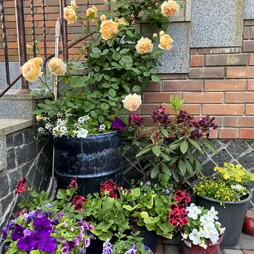 Київська вул., 1