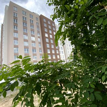 Бориса Гмирі вул., (Будинок 7.2)