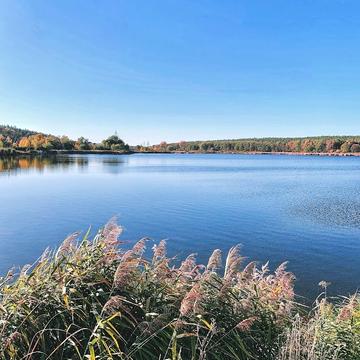 Ходосівка, Обухівський, Київська область 310000.0 USD