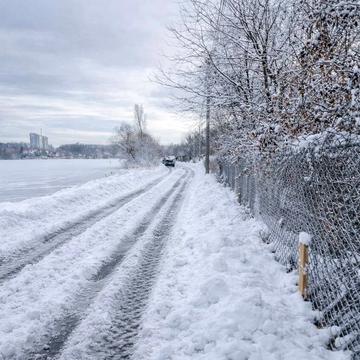 Берегова
