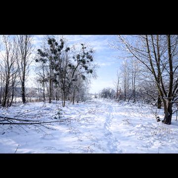 Білогородка, Бучанський, Київська область 50000.0 USD