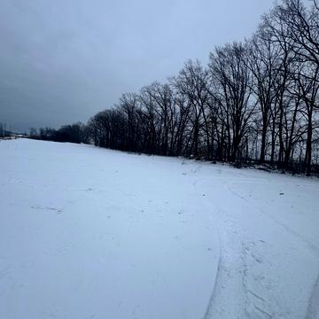 Крюківщина, Бучанський, Київська область 18000.0 USD