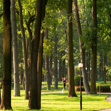 Давидчука вул.