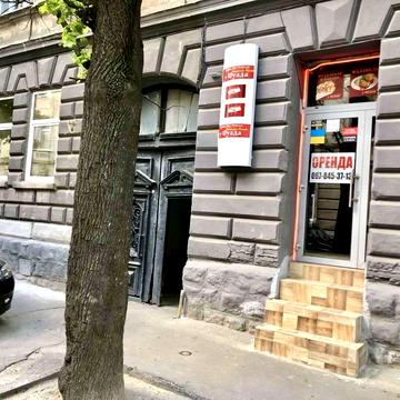 Володимира Антоновича вул. (), 12