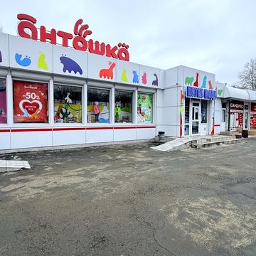 Івана та Юрія Лип вул. (Гайдара), 6