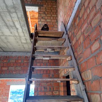 Грушевського, 8