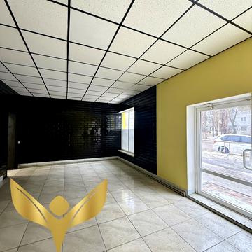 Незалежності вул. (Космонавта Попова), 9 к1