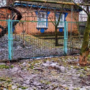 Василя Бикова, 1