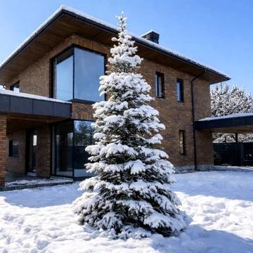 Березова вул.