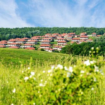 Каштановий провулок