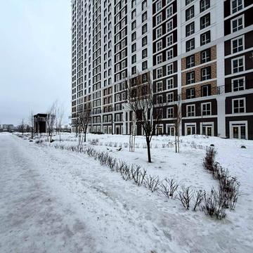 Михайла Максимовича вул. (Онуфрія Трутенка), (Будинок «Престон»)