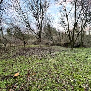 Старі Безрадичі, Обухівський, Київська область 12000.0 USD