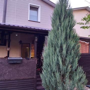 Лісова вул.