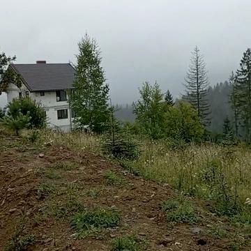 Микуличин, Надвірнянський, Івано-Франківська область 350000.0 USD