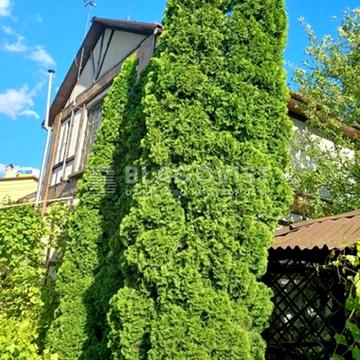 Старобільський пров. (Майкопський)