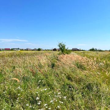 Красне, Золочівський, Львівська область 400000.0 UAH