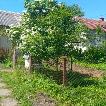 Худорівська