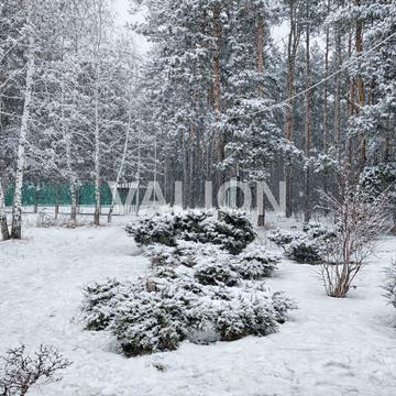 Чехова вул., (Будинок 1)