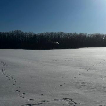 Посольська