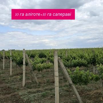 Болгарка, Одеський, Одеська область 150000.0 USD