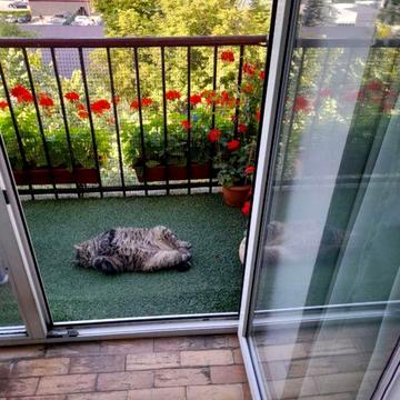 Іоанна Павла II вул. (Патріса Лумумби), 15