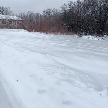 Ярослава Мудрого