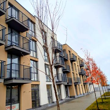 Бічна зелена