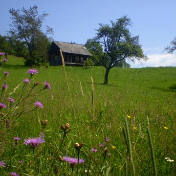 Хмелів, Рахівський, Закарпатська область 54000.0 USD