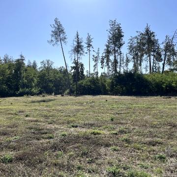 Іванковичі, Обухівський, Київська область 299925.0 USD