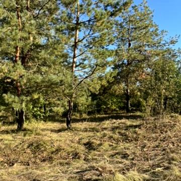 Іванковичі, Обухівський, Київська область 555861.0 USD