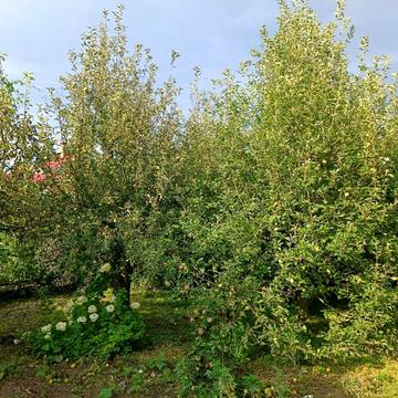 Лугова вул.