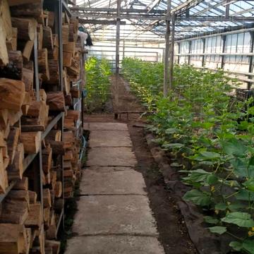 Роменська вул., 81