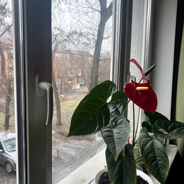 Сергія Нігояна просп. (Калініна), 74