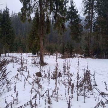 Поляниця, Надвірнянський, Івано-Франківська область 2492200.0 USD