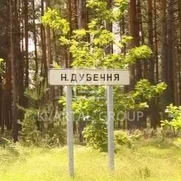 Нижча Дубечня, Вишгородський, Київська область 30000.0 USD