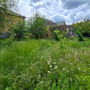 Сільська рада, Софіївська Борщагівка, Бучанський, Київська область 98500.0 USD