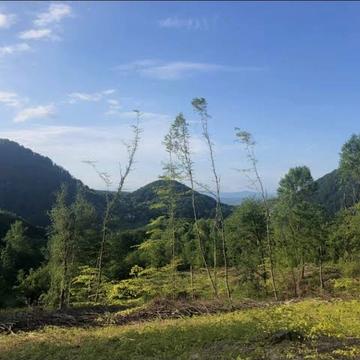 Шаян, Хустський, Закарпатська область 365000.0 USD