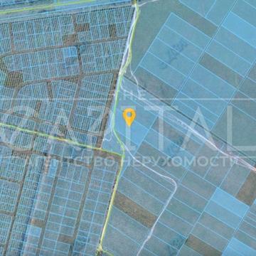 Нова пошта, Білогородка, Бучанський, Київська область 11300000.0 USD