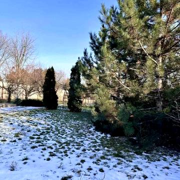 Центральна вул.