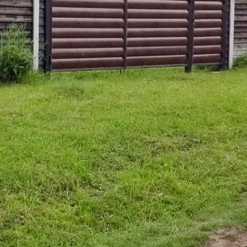 Лісові Гринівці, Хмельницький, Хмельницька область 25000.0 USD