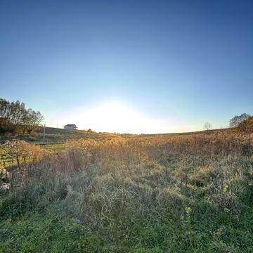Лесі Українки вул.