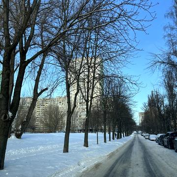 Тулузи вул., 16